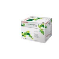 Office Depot Everyday DIN A4 Druckerpapier Recycelt 100% 80 g/m² Glatt Weiß 2500 Blatt