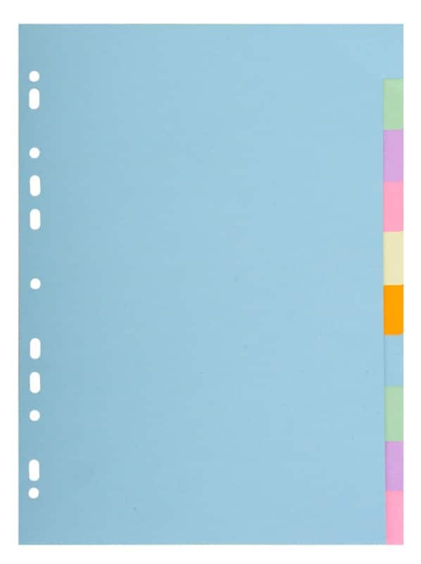 Exacompta Blanko Register 100% Recycelt DIN A4 Farbig sortiert 10-teilig Pappkarton 11 Löcher 1610E