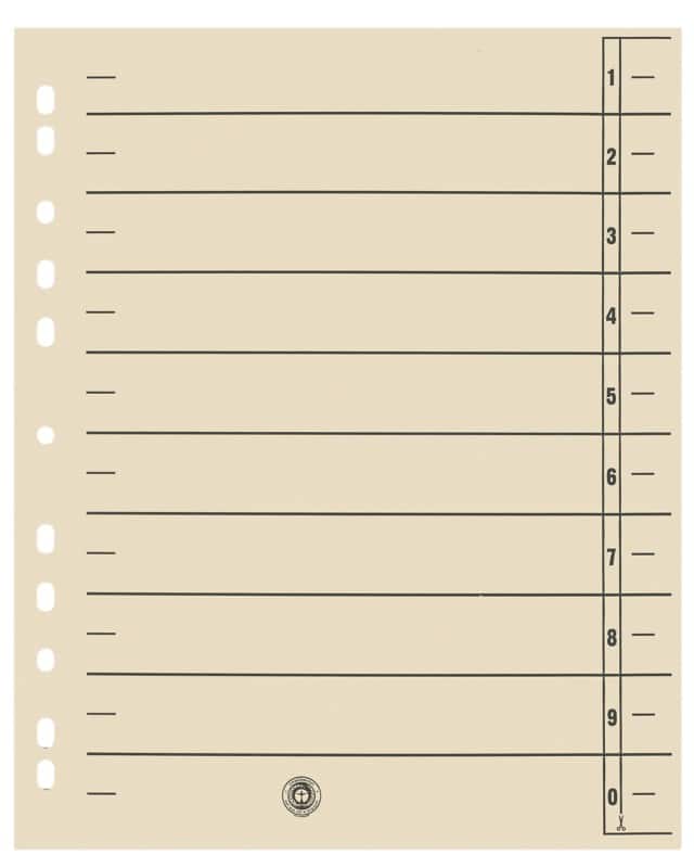 Viking 1 bis 10 Trennblätter Recycled 100% Spezial Chamois 10-teilig Pappkarton 11 Löcher 100 Stück 