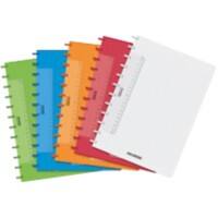 ADOC Colourlines DIN A4 Ringbindung Farbig sortiert PP Cover Notizbuch kariert 4 x 8 mm 72 Blatt
