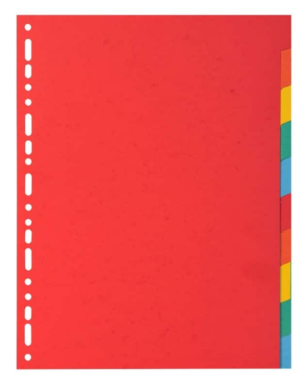 Exacompta Blanko Register 95% Recycelt DIN A4 Farbig sortiert 10-teilig Pappkarton 18 Löcher 2010E