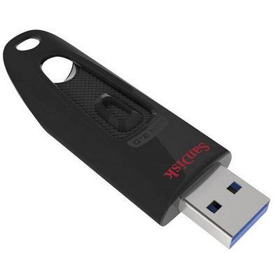 SanDisk USB Stick SDCZ48-256G-U46 256 GB Schwarz